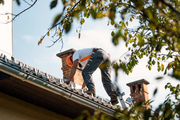 Best New Roof Installation  in Walkertown, NC